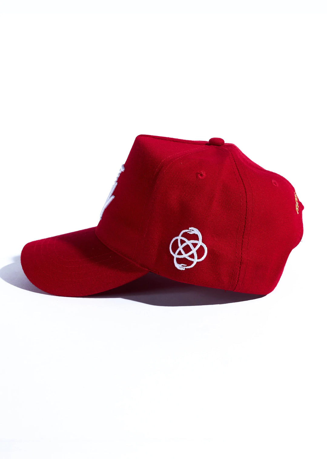 Reference Paradise LA Snapback