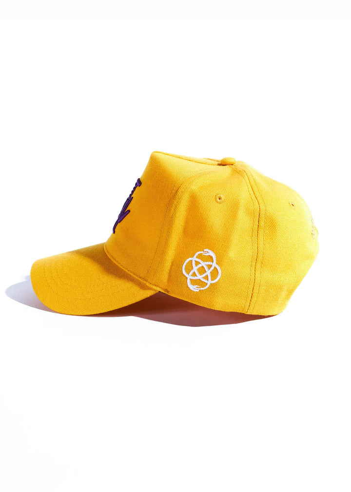 Reference Paradise LA Snapback